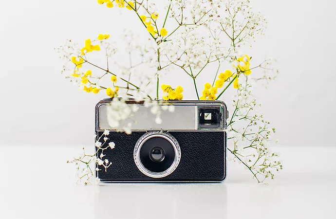 A photo of a vintage camera with a flower on it taken in a lightbox