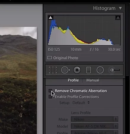 Checking the "Remove Chromatic Aberration" check box in Adobe Lightroom