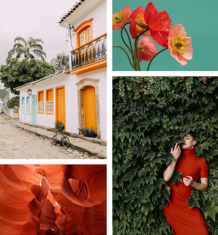 A collage of different photos: a house next to cobblestone road, a flower, a desert rock cavern, and a person posing while standing in a wall of plant leaves