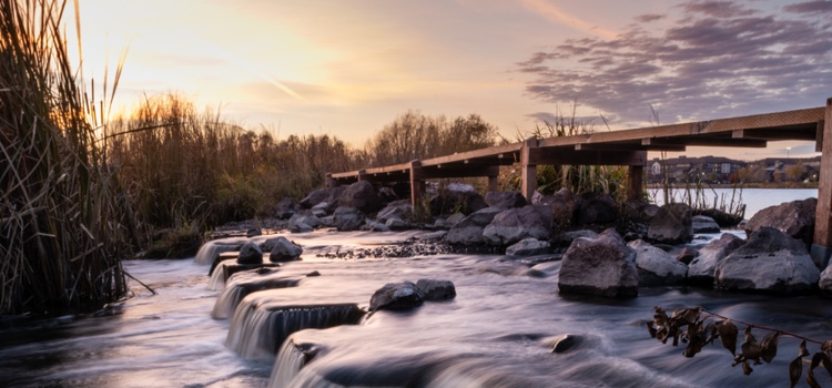 A photo of stream running underneath a wooden bridge that uses a neutral density filter