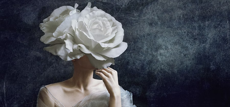 Surreal photo of a rose flower with a woman's body