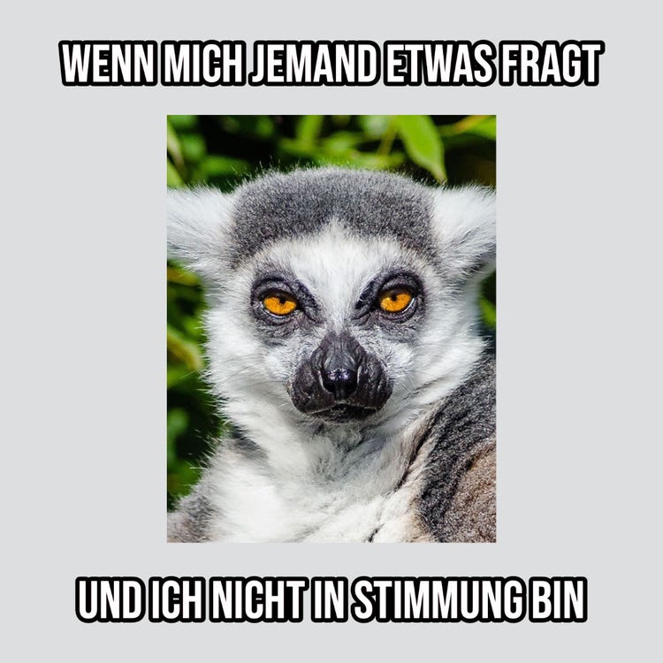 Funny Annoyed Lemur Internet Meme