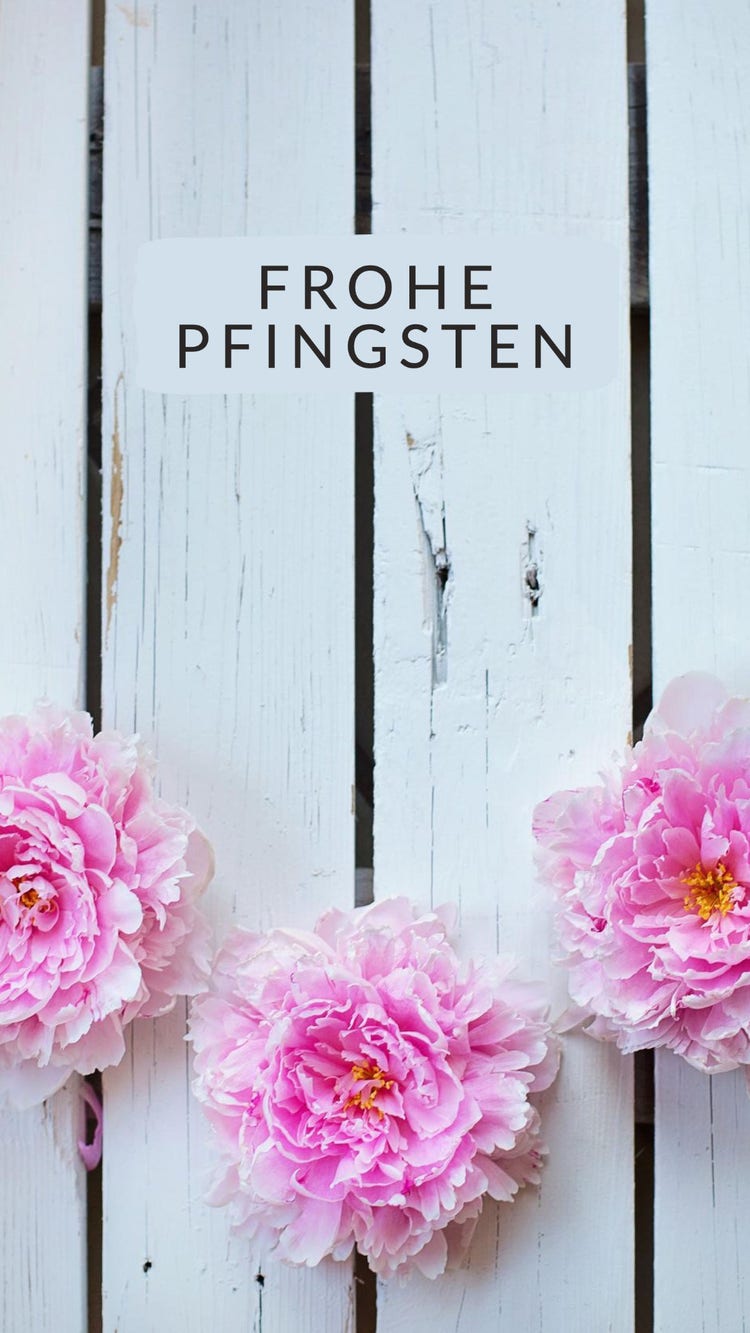 White Pink Peonies Seasonal Pentecost Facebook Story