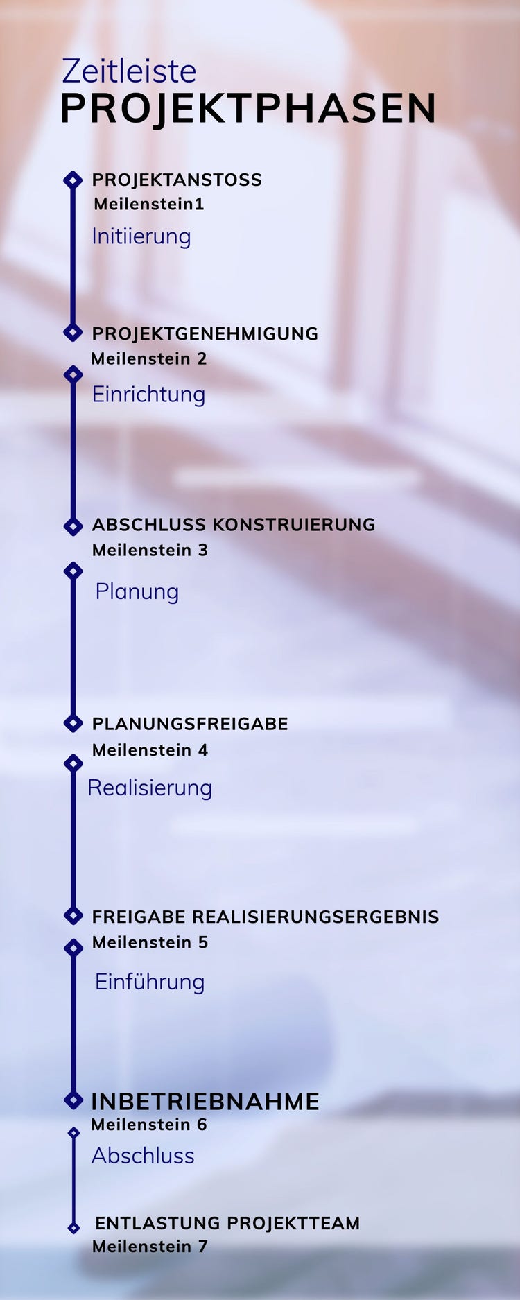 Business Infographic Project Management Timeline