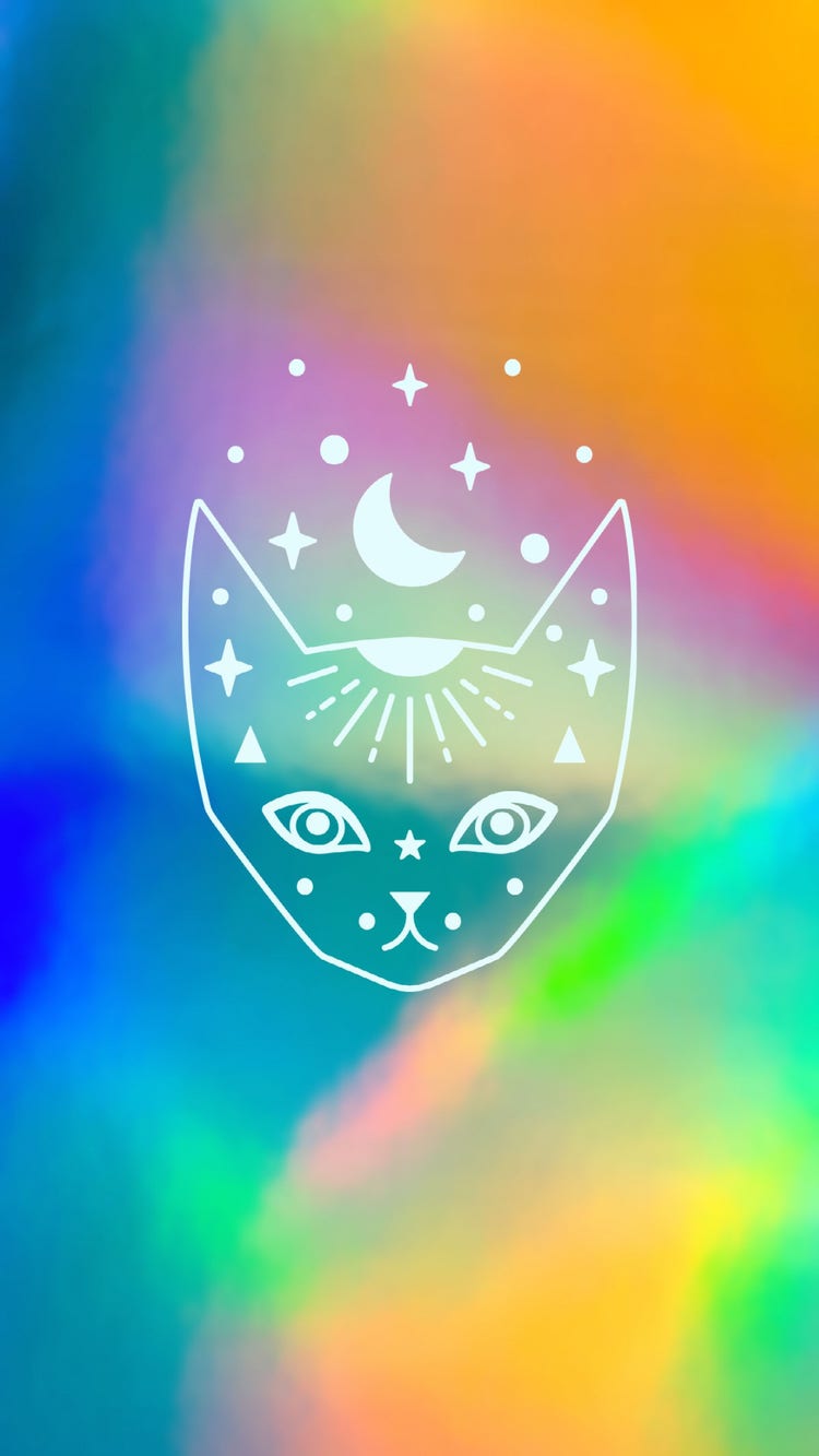 Rainbow Coloured Illustrative Cat Wallpaper Mobile