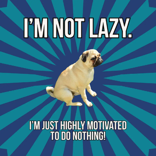 A meme with a pug in the middle and the text "I'm not lazy. I'm just highly motivated to do nothing!"