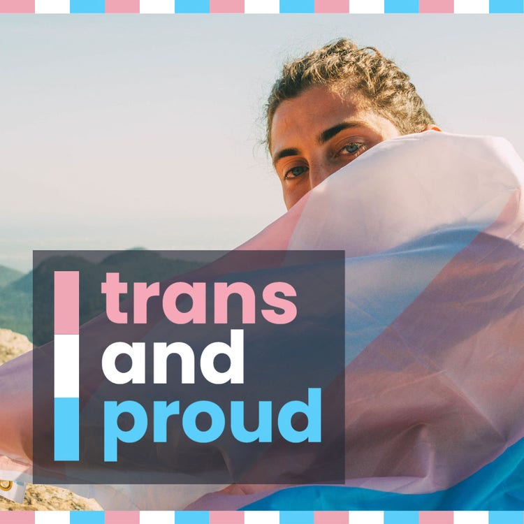 Pink and Blue Trans Pride Instagram