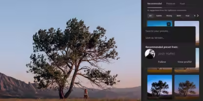 A photo of single tree with low mountains and a blue sky in the background, open in the Lightroom interface.