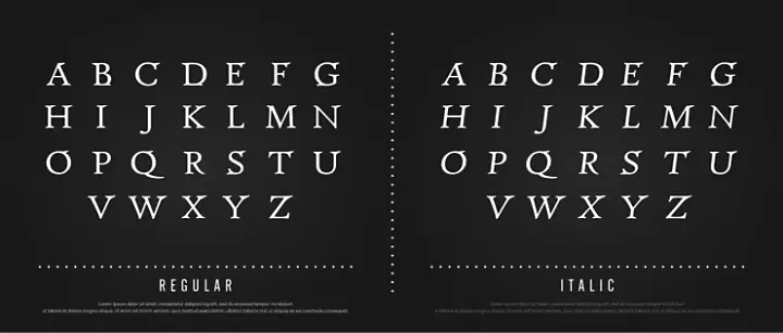 Imagen divida en dos mostrando letras de tipo serif en Regular y en Italic.