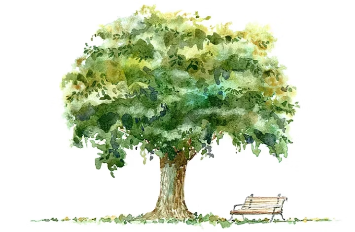 Cómo dibujar un árbol.