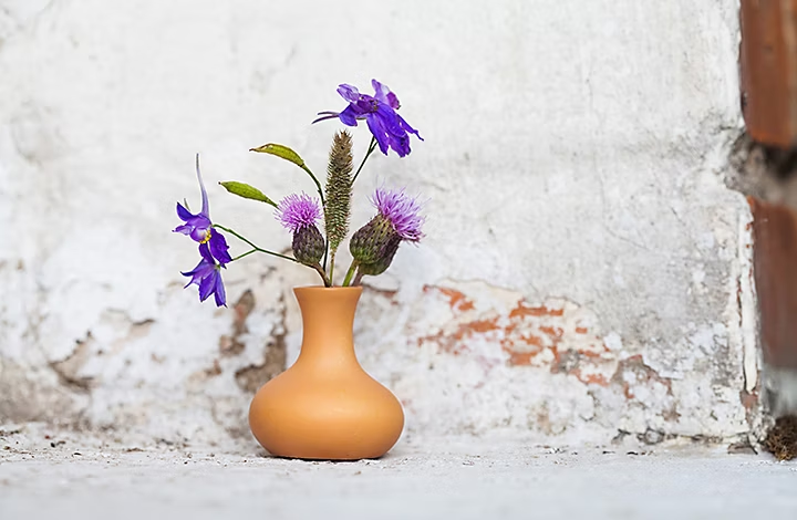 Vaso de terracota con cardos y otras flores delante de una pared con pintura descascarillada