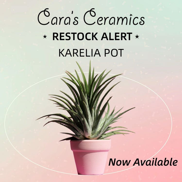 Green & Pink Gradient Oval Ceramic Pot Restock Facebook Ad