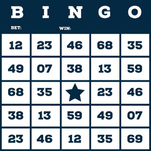 bingo online generator