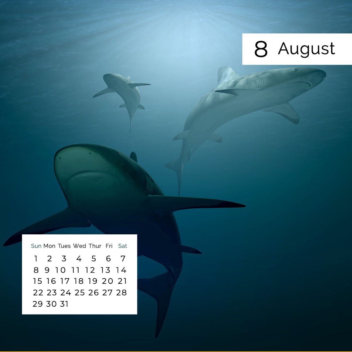 Free Photo Calendar Maker With Online Templates | Adobe Express