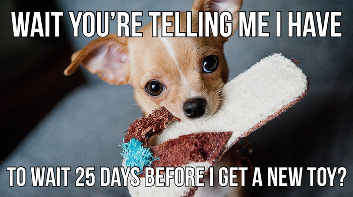 9 Funny Dog Memes And Templates Adobe Express