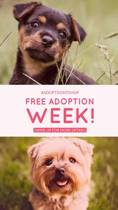 Free Customizable Dog Adoption Poster Templates Adobe Spark