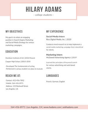 Pink SEO and Social Media Marketing Resume Resume Examples