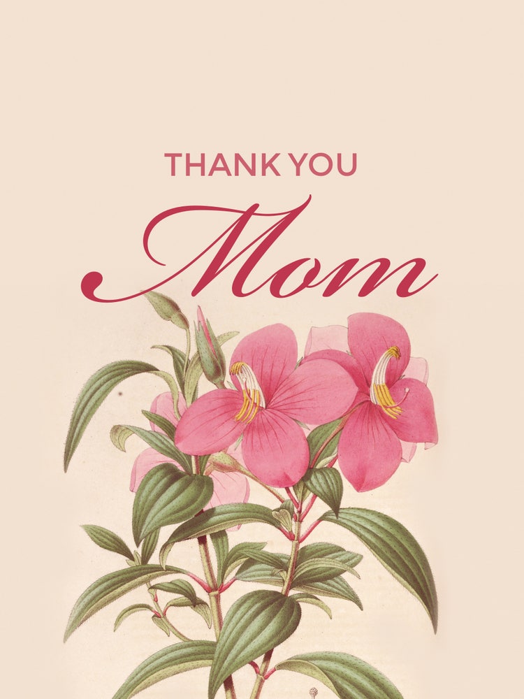 Pink And Green Old Fashioned Mother's Day Card