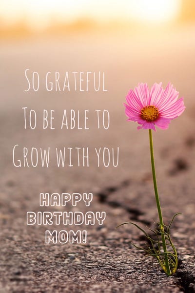 funny happy birthday quotes for mom