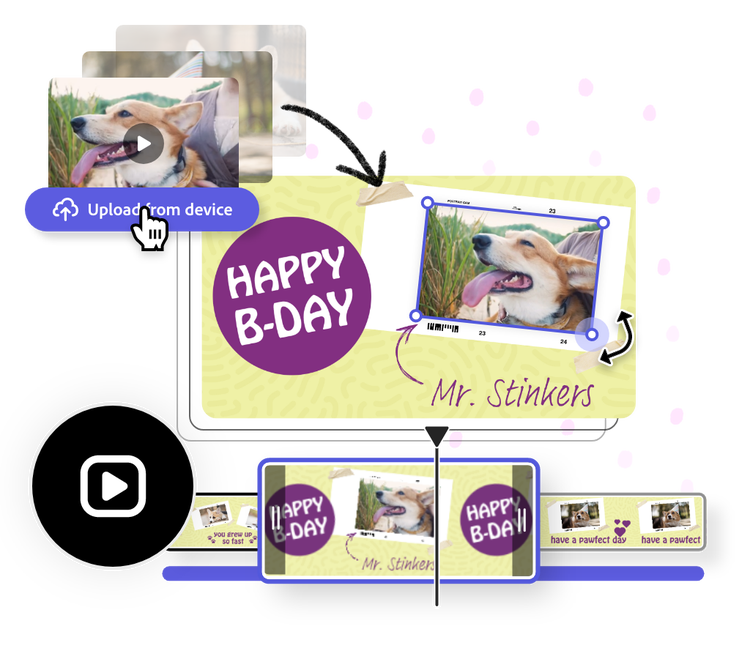 Icons, graphic elements, and a video about a dog's birthday being edited in the background.