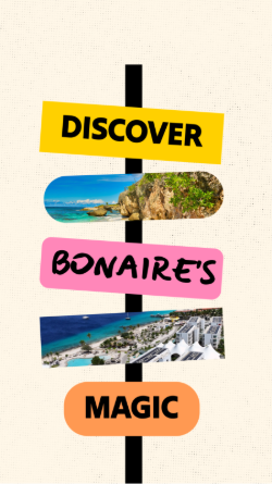 a template that looks like road signs that says discover bonaire's magic with some snapshots of the beach