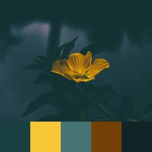 Color palette in bright colors over black Vector Image