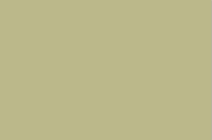 20 Sage Green Aesthetic Wallpaper Backgrounds (FREE)