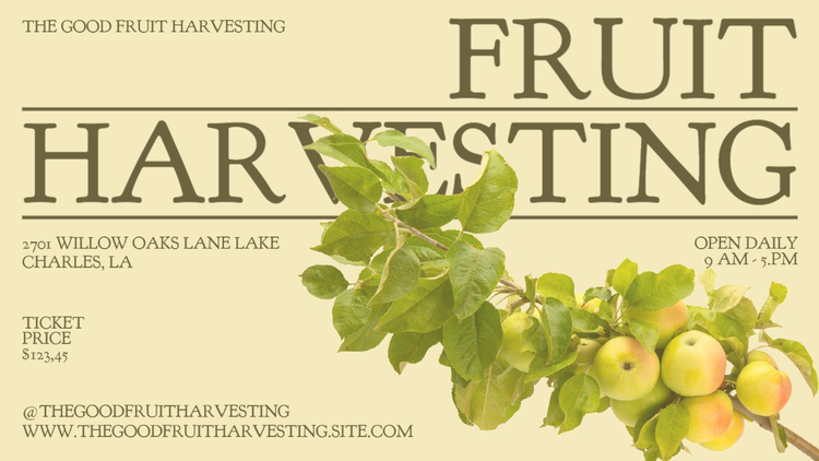 A Facebook Business Page cover photo promoting a fruit harvesting experience with relevant contact and event information