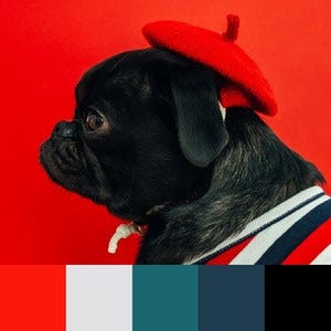 Color Swatch Pug - Color swatch pug