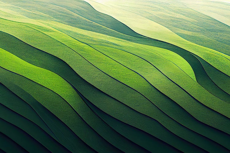 Marketing plan 101: Why every business needs one to succeed