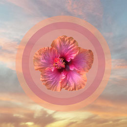 Light Toned Flower Composite in Landscape, Instagram Post Artists Collection: Adobe Spark Stylemakers