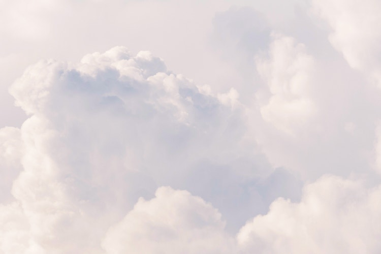 Color of the Year trends for 2026