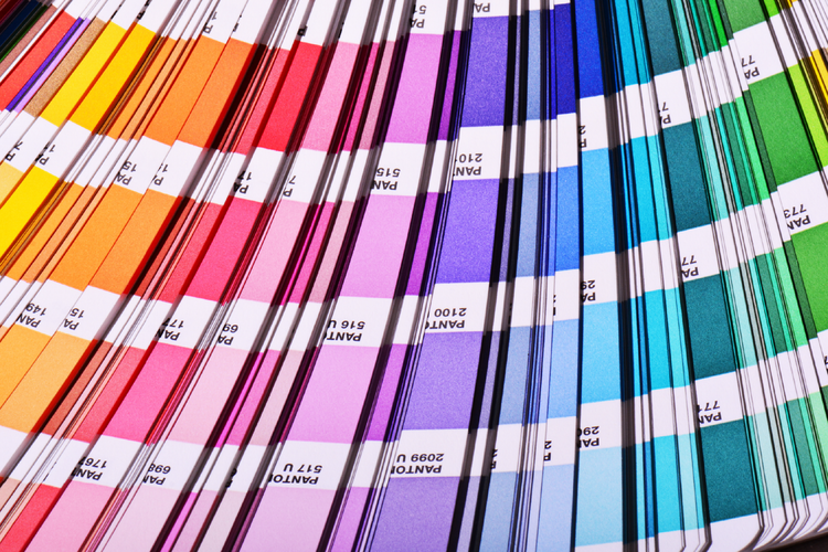 Best color palettes for websites and classrooms: How to choose the right colors