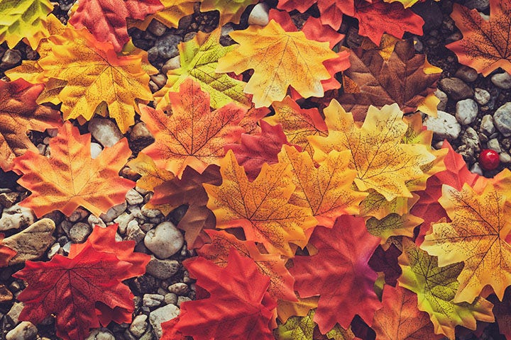 Feuilles d’automne en vert, orange et rouge