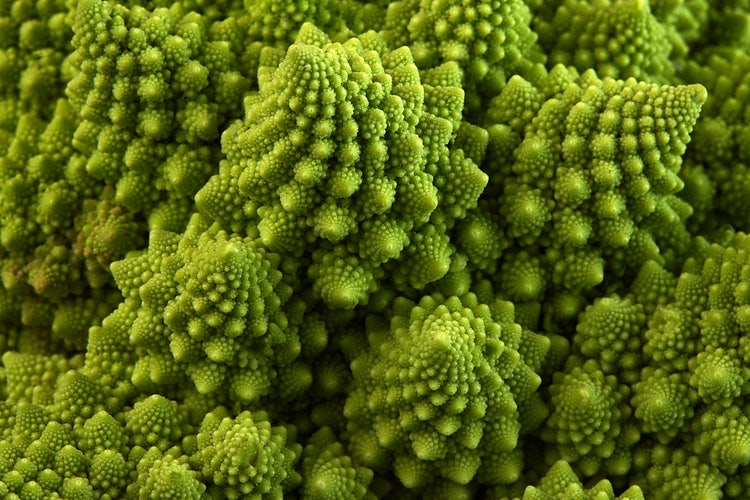 les fractales dans un gros plan de chou romanesco