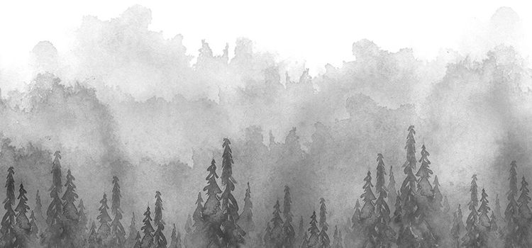 Dessin à l'encre d'un paysage de forêt