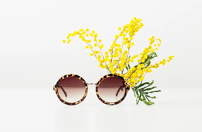 A photo of sunglasses with a flower on them taken in a lightbox