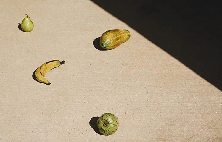 Photographie artistique de fruits sur le sol