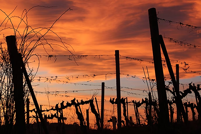 L’heure dorée au coucher de soleil