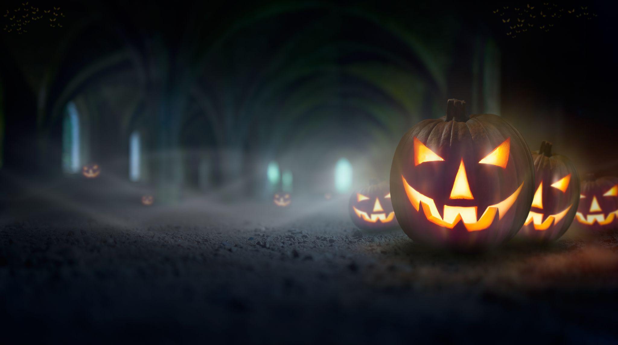 Slogan Halloween : 5 Idées Effrayantes Pour Des Campagnes Sur Les ...