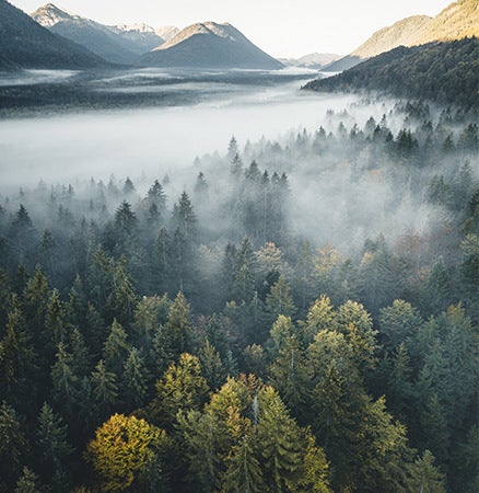 Serene nature landscape photograph of a foggy forest valley captured from above.