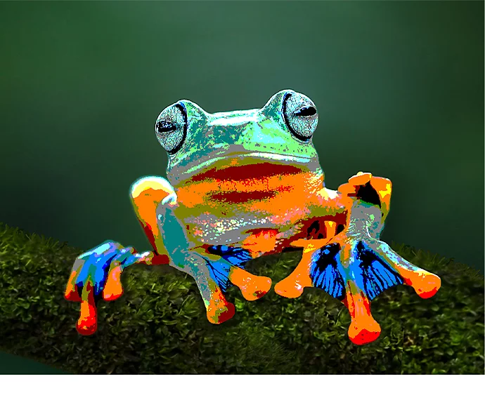 A posterized photo of a frog