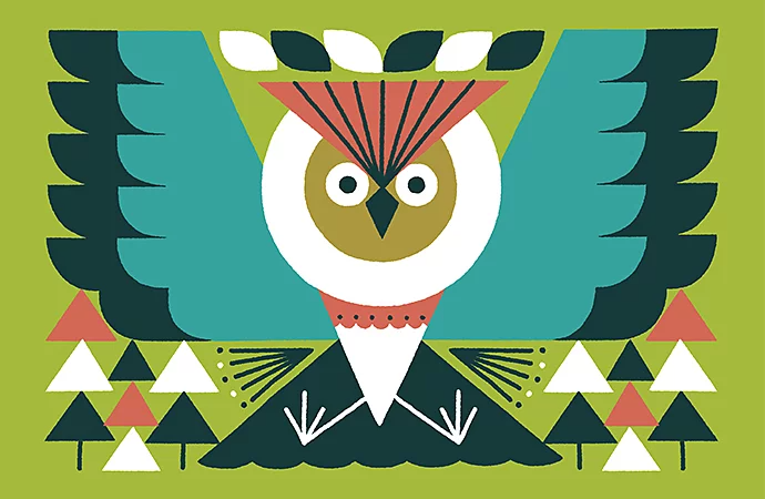 Illustration of an owl