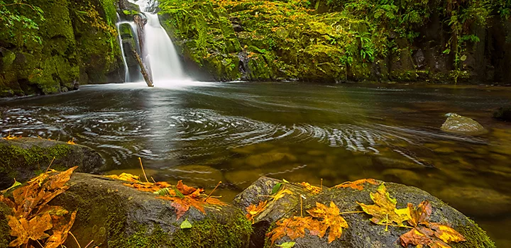 A photo of a waterfall feeding into a large pond in a forest