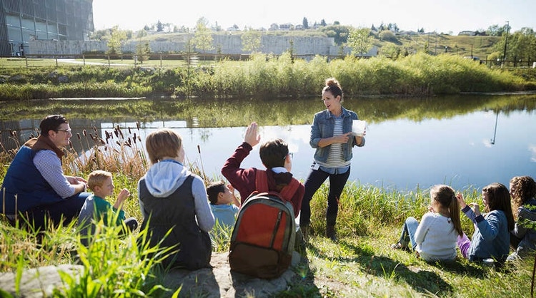 A teacher giving a lesson in ecology alongside a pond to young students and a chaperone