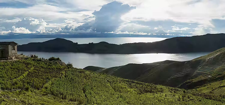 Wide angle photo of a grassy hillside overlooking a large body of water