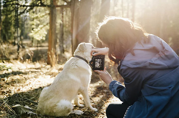 A person with a mirrorless camera taking a photo of a dog outside