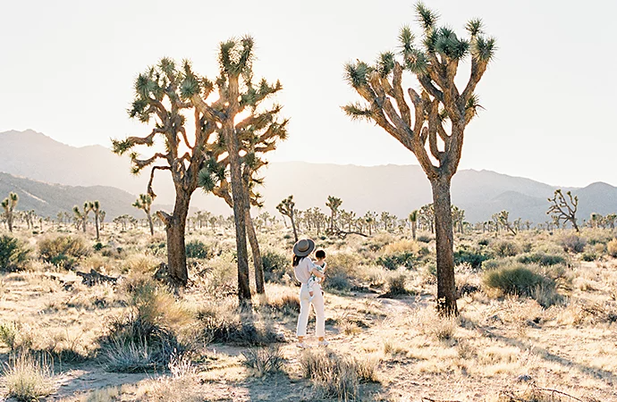 Photo of a person walking through desert with trees