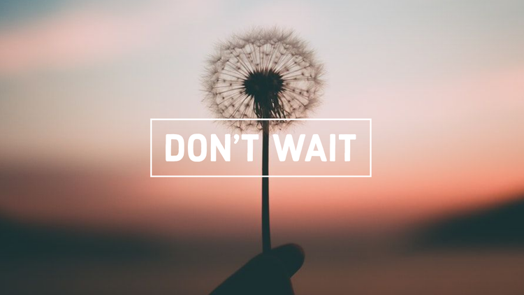 Desktop wallpaper, featuring a dandelion and the words "Don't wait", being edited in Adobe Express