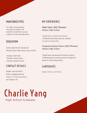 Red Math and Engineering Resume Resume Examples
